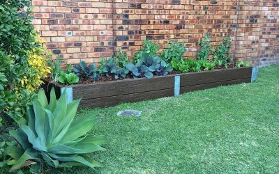 Innovative Retaining Wall Designs for Lake Macquarie Homes